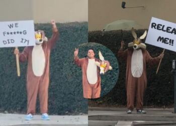 El misterioso fan que protestó para salvar “Coyote vs Acme” finalmente revela su identidad