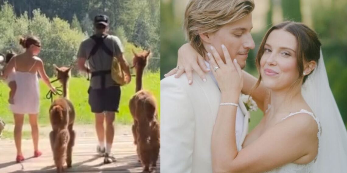 Millie Bobby Brown y Jake Bongiovi se convierten en padres por segunda ocasión