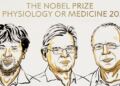 Karl Deisseroth, Peter Hegemann y Georg Nagel ganan el Nobel de Medicina 2026