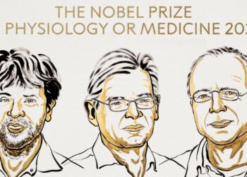 Karl Deisseroth, Peter Hegemann y Georg Nagel ganan el Nobel de Medicina 2026